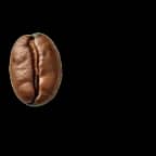 Coffee Bean