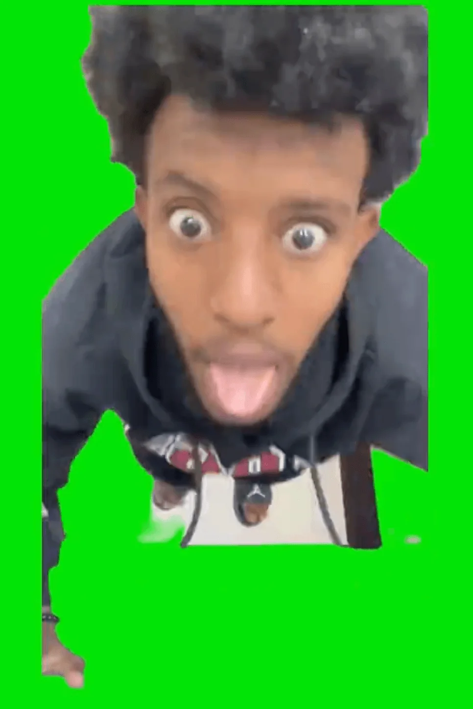 Papisegit